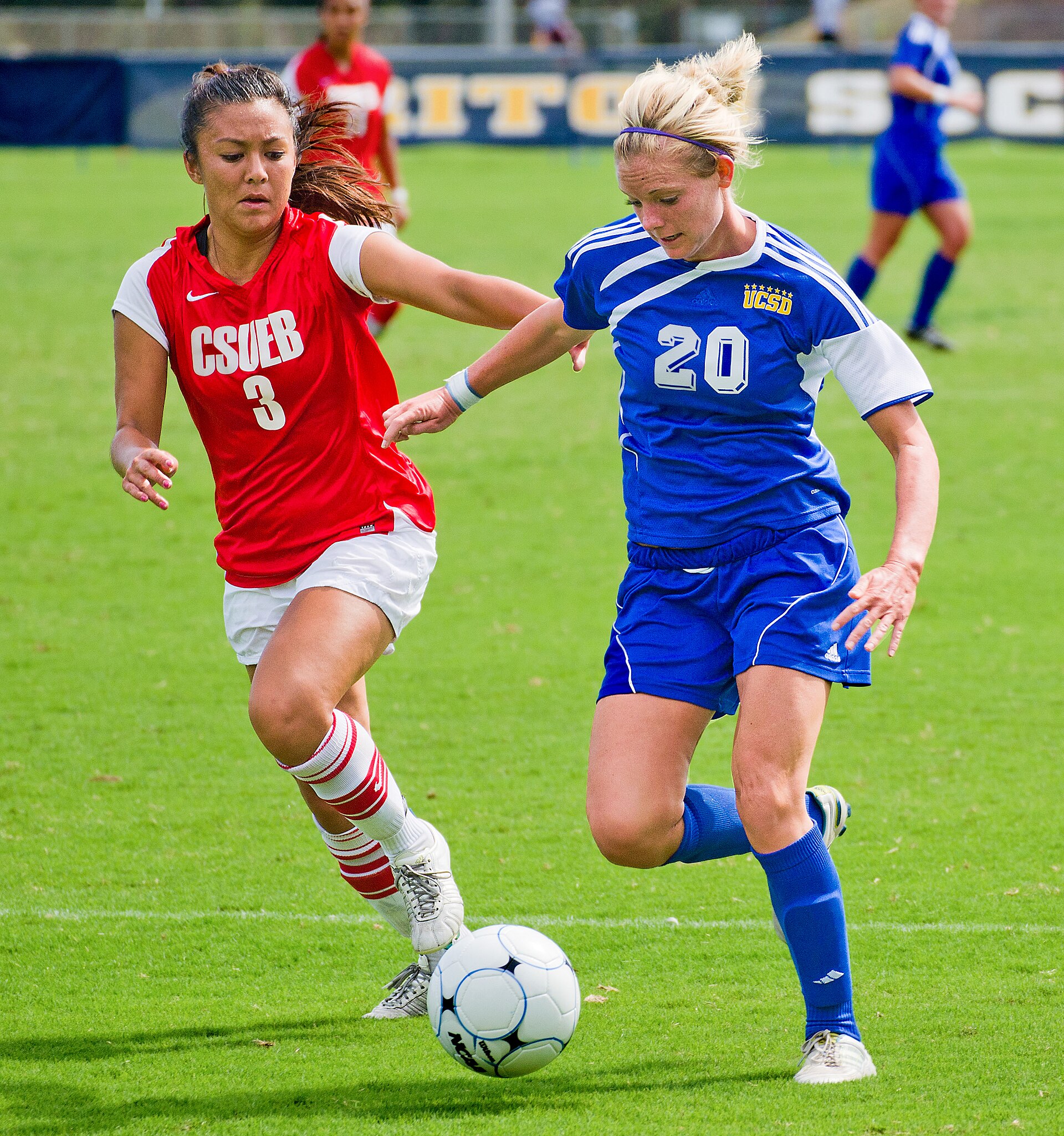 基金行情